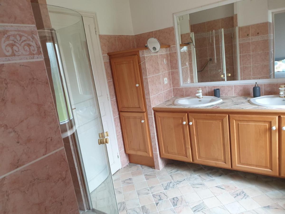 La Ferme Du Puits Carre Bed and Breakfast Lamasquere Εξωτερικό φωτογραφία